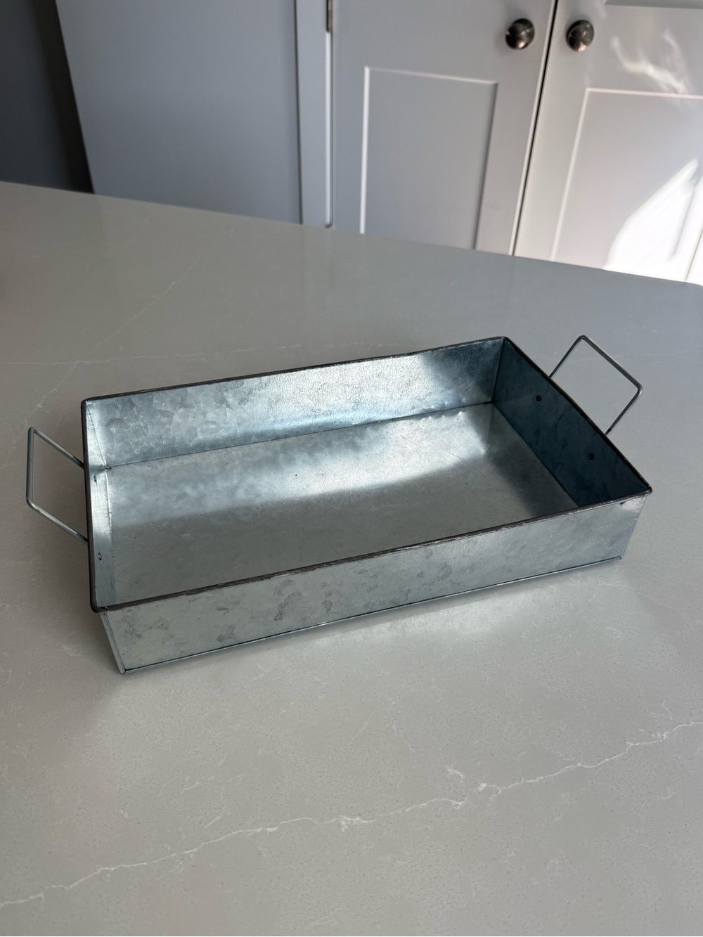 Vintage Galvanized Metal Serving Tray with Handles